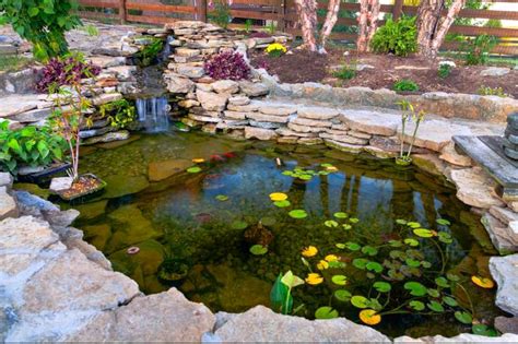 Step-by-Step Guide on How to Build a Duck Pond in Your Homestead