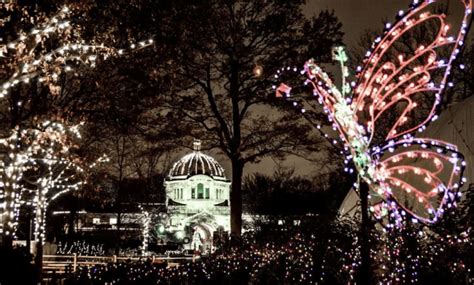 Bronx Zoo Holiday Lights Discount Tickets: $24.25 - Any Tots