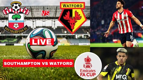 Southampton vs Watford Live Stream FA Cup Football Match Today Score ...