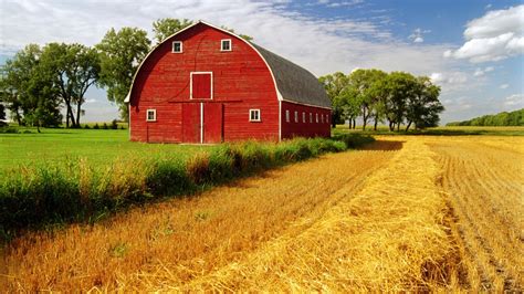 Barn rustic farm landscapes fields crop grass sky clouds wallpaper ...