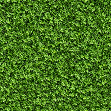 Premium Photo | Seamless Tileable Texture of Green Bush