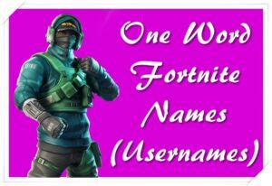 3800+ Cool Fortnite Names 2020 (Not Taken) - Good, Funny, Best