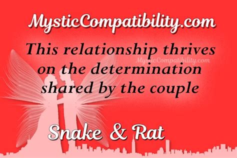 Snake Rat Compatibility - Mystic Compatibility