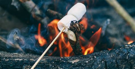 Marshmallow on a stick over the fire cooking marshmallows on fire Photo ...