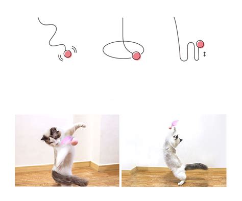 interactive toy, Cat feather teaser toy,catnip inside - Cheapest Online Pet Shop Petdaddy.com.au