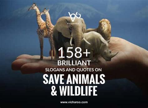 159+ Catchy Save Animals & Wildlife Conservation Slogans & Quotes – Vicharoo