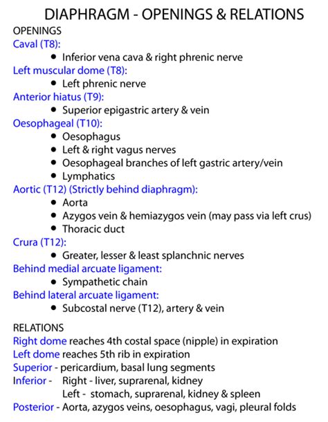 Instant Anatomy - Thorax - Areas/Organs - Diaphragm - Openings