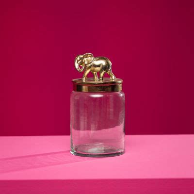 Quirky & unusual vases with lids online | WERNS