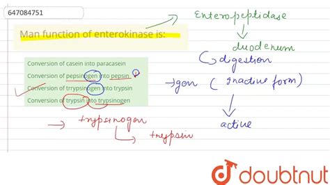 [Punjabi Solution] Man function of enterokinase is: