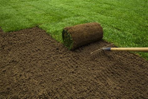 2017 Bermuda Sod Prices | How Much Is A Pallet of Sod?