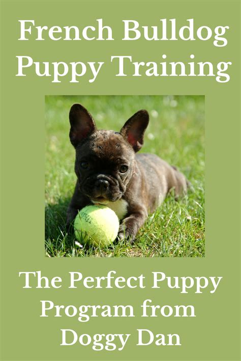 French Bulldog Puppy Training - "The Perfect Puppy Program"