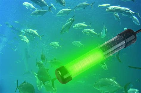 Best Underwater Fishing Lights in 2022