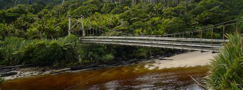 Heaphy Track Overview | Hiking New Zealand