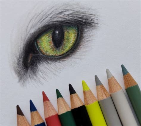 Pencil drawing | Drawings, Cat eyes drawing, Cat eye colors