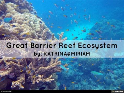 Great Barrier Reef Ecosystem