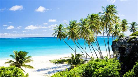 Barbados weather and climate ☀️ Best time to visit 🌡️ Temperature