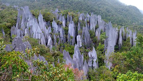 Karst Formations Stock Photos, Pictures & Royalty-Free Images - iStock