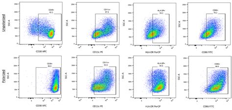 M1 Macrophage Flow Cytometry Panel