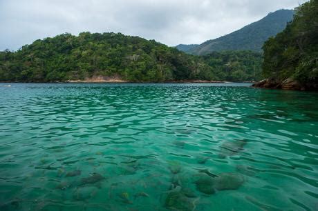 11 Best Ilha Grande Hotels and Pousadas in 2024 - Paperblog