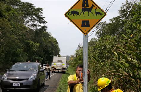 wildlife crossing sign costa-rica - CAMINO TRAVEL