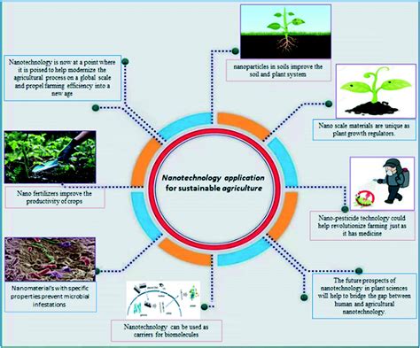 The potential of nanomaterials for sustainable modern agriculture ...