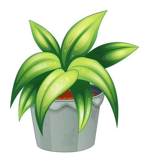 Free Potted Plant Cliparts, Download Free Potted Plant Cliparts png images, Free ClipArts on ...