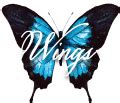logo – Wings Ministries Inc