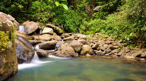 El Yunque National Forest, PR Vacation Rentals: villa rentals & more | Vrbo