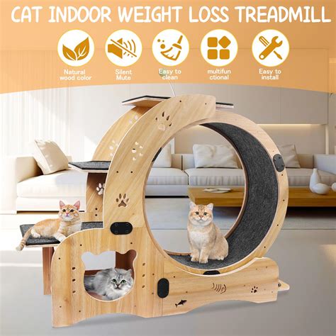 Pefilos 42" 4-in-1 Cat Exercise Wheel for Indoor Cats, Large Cat ...