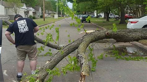 Tree Falls On Jimmy John's Delivery Car In Brookside