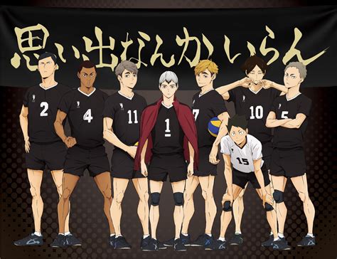 If Karasuno wasn’t the main team, what other team would you want it to ...