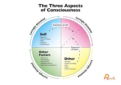 THE THREE ASPECTS OF CONSCIOUSNESS