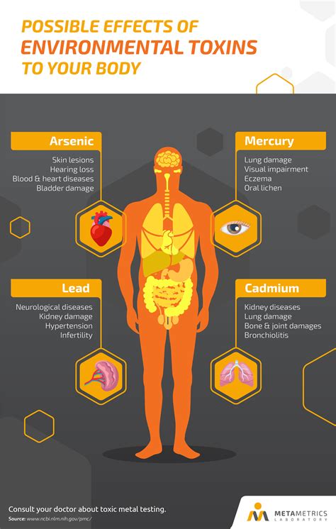 Heavy Metal Toxicity: The Unknown Cause of Heart Disease - MetaMetrics Laboratory