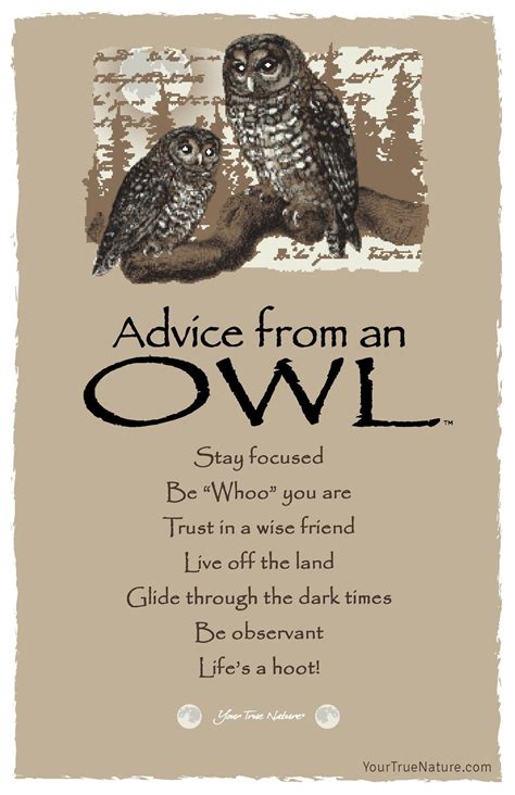 Bookmark : Advice from the Moon – Your True Nature, Inc. | Card art, Advice, Native american wisdom