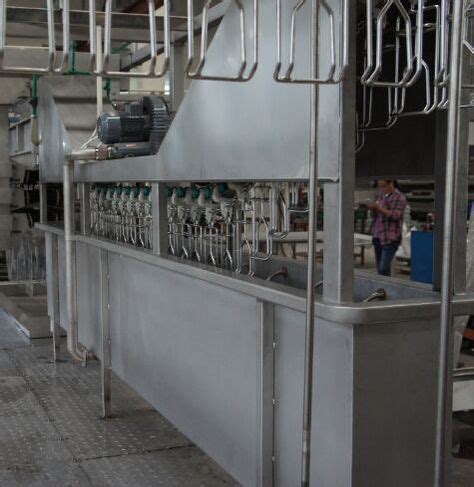 360 Chicken processing equipment ideas in 2021 | chicken processing ...