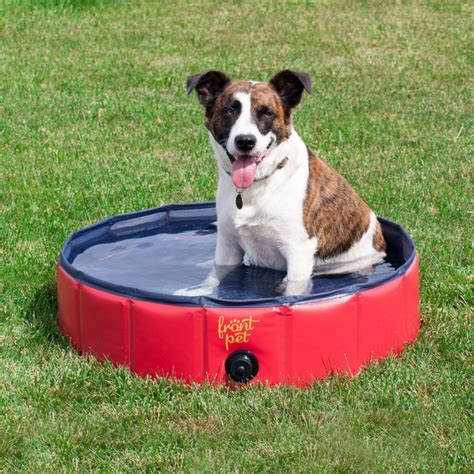 Best Swimming Pools For Dogs of 2021: Top 4 Choises | Dogsrecommend