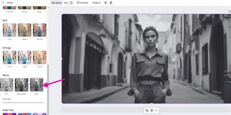Making An Image Background Black And White On Canva