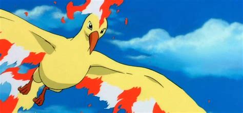 Best Gen 1 Flying Pokemon - WoodsLima