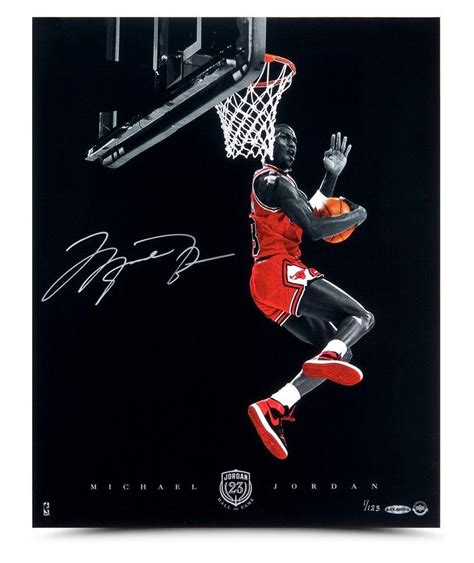 Michael Jordan Dunk Logo - LogoDix