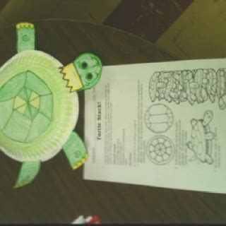 Yertle the Turtle activity! Turtle stack. So fun! | Turtle activities ...