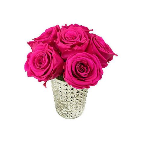 6" Magenta Rose Arrangement Preserved Arrangements ($149) liked on Polyvore featuring home, home ...