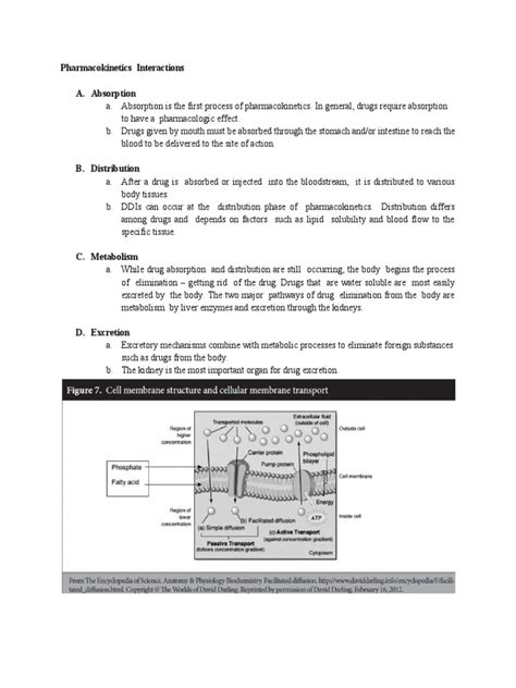 Pharmacokinetics Interactions | PDF