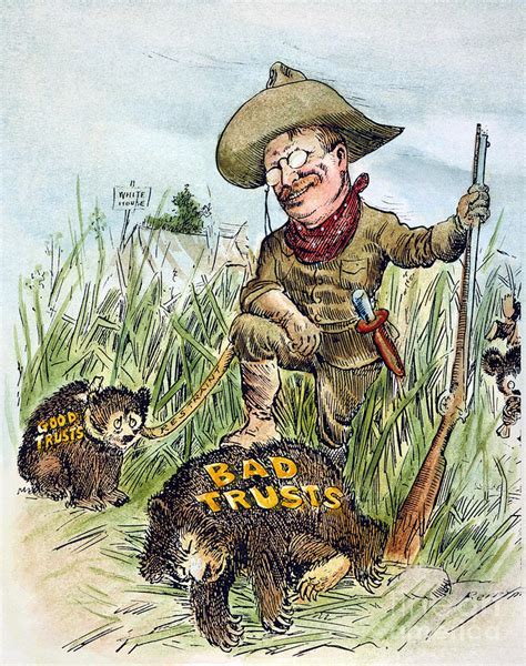 T. Roosevelt Cartoon, 1909 Photograph by Granger