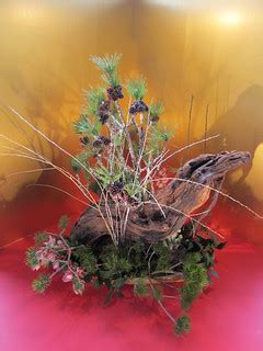 Japanese flower arrangement 80, Ikebana: いけばな | Nullumayulife | Flickr