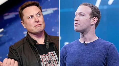 Elon Musk vs Mark Zuckerberg: How 'fight' talk began and who would win