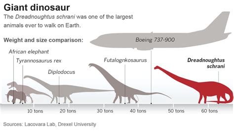 Dreadnoughtus Pictures & Facts - The Dinosaur Database