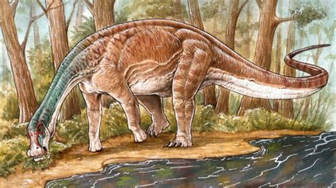 New Cretaceous-Era Titanosaur Species Discovered in Argentina - dayenthusiast