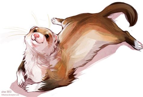 Digital Art / Drawings & Paintings / Animals ©2013 * littleulvar | Ferret, Cute ferrets, Cute ...