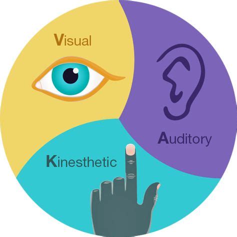 Visual, Auditory, Kinesthetic Therapy (With images) | Kinesthetic