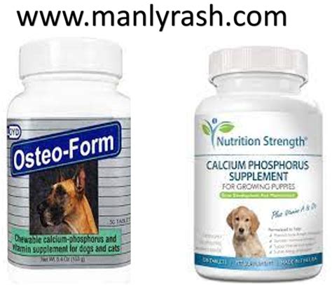 Calcium Supplements For Dogs - We Care Your Lifestyle